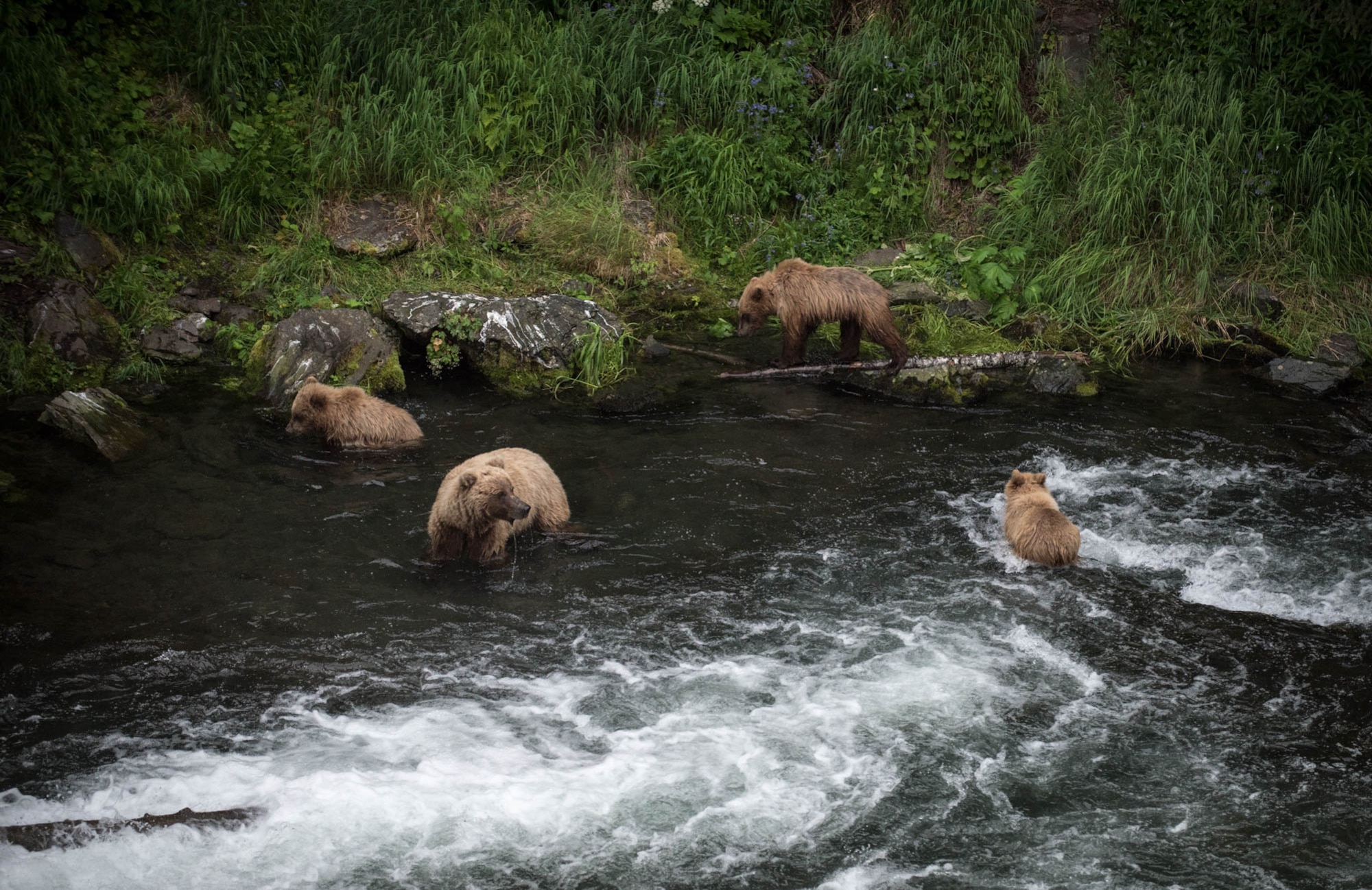 Joint Base Elmendorf-Richardson’s location offers a variety of summer activities. Alaska has some of the most unique fishing opportunities in the world, but precautions should be taken to avoid potentially dangerous wildlife encounters. For more information, contact the JBER Wildlife Education Center at 552-0310. (U.S. Air Force photo by Senior Airman Kyle Johnson)