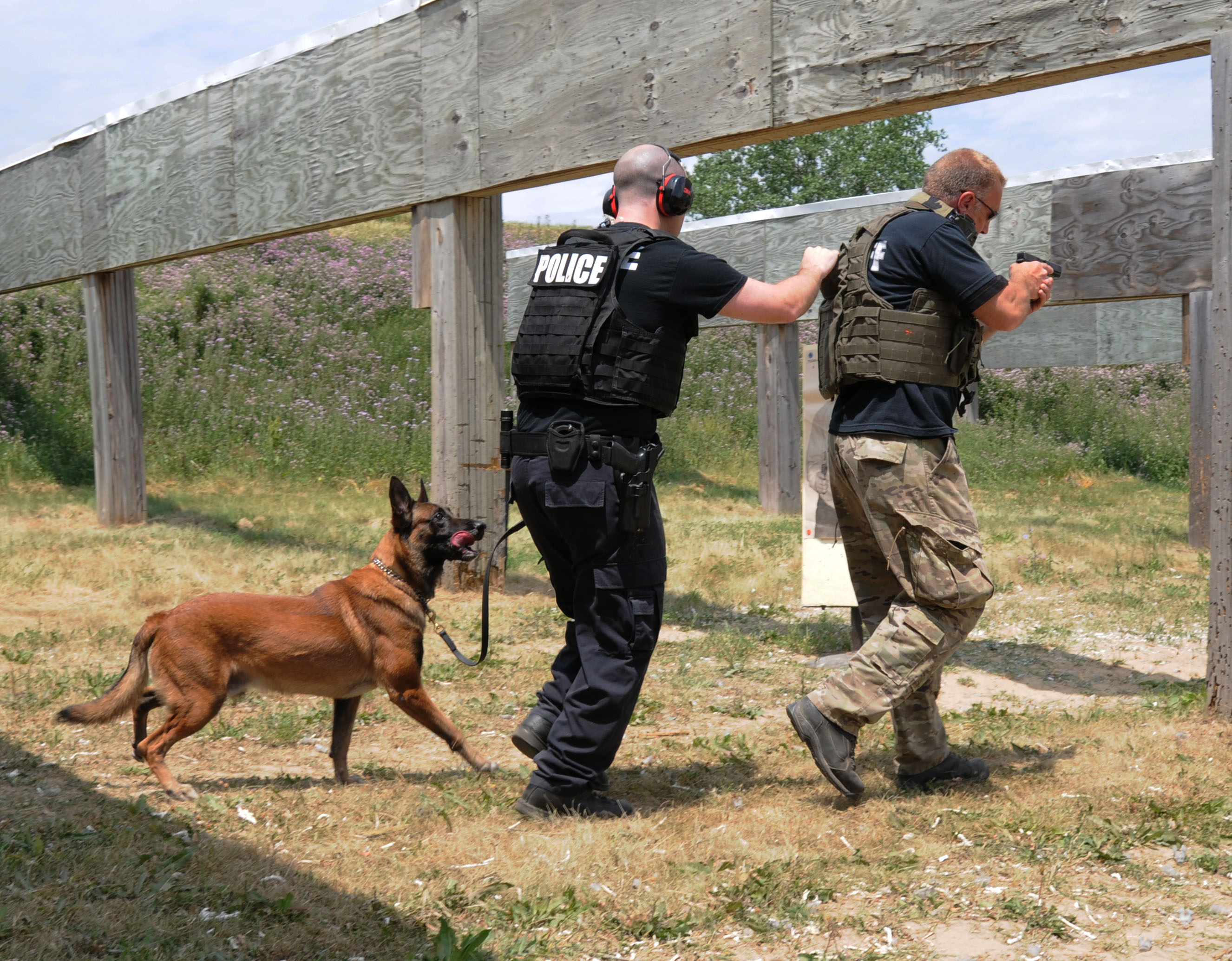 K9 training