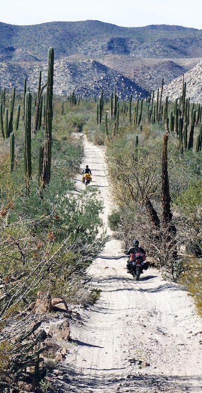 Desert beauty seen along the trail as Matt Montgomery and his motorcycling pals travel along Mexico’s Baja California Peninsula.