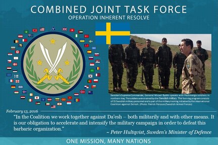 Sweden is part of a Coalition of more than 60 international partners that has united to assist and support the Iraqi Security Forces to degrade and defeat Da'esh. This unity between Coalition partners has contributed to Iraq's significant progress in halting Da'esh's momentum and, in some places, reversing it.