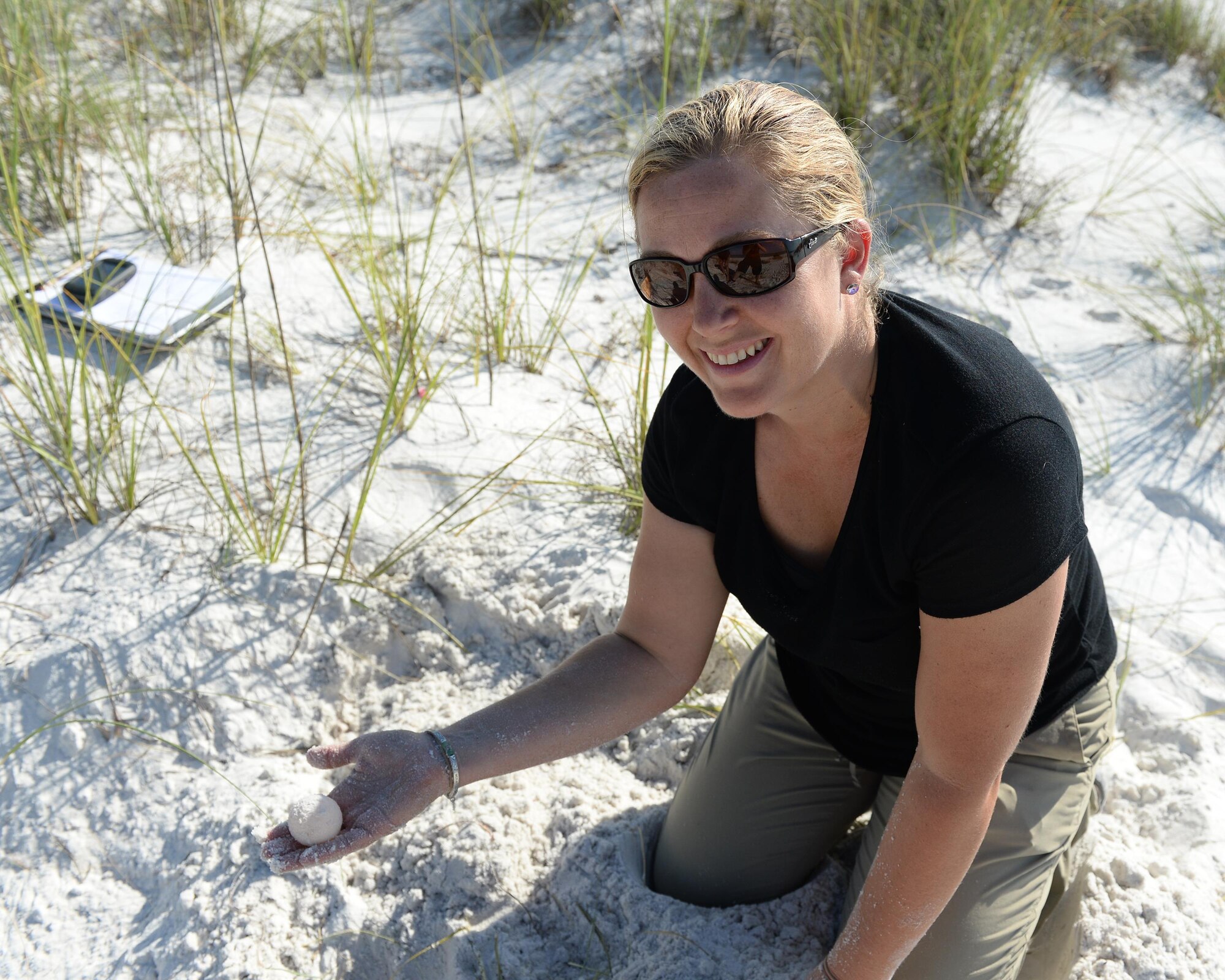 Danielle Bumgardner, 325th Civil Engineer Squadron Environmental Flight biologist, finds a turtle egg at Tyndall Air Force Base, Fla., June 22, 2016. Onshore threats to eggs and hatchlings include ghost crabs, coyotes, raccoons, opossums, dogs, feral cats, seagulls, wading birds, crows, eagles and egg poachers. Biologists like Bumgardner find and protect the turtle nests to ensure the hatchlings have a chance to make it to adulthood. (U.S. Air Force photo by Airman 1st Class Cody R. Miller/Released)