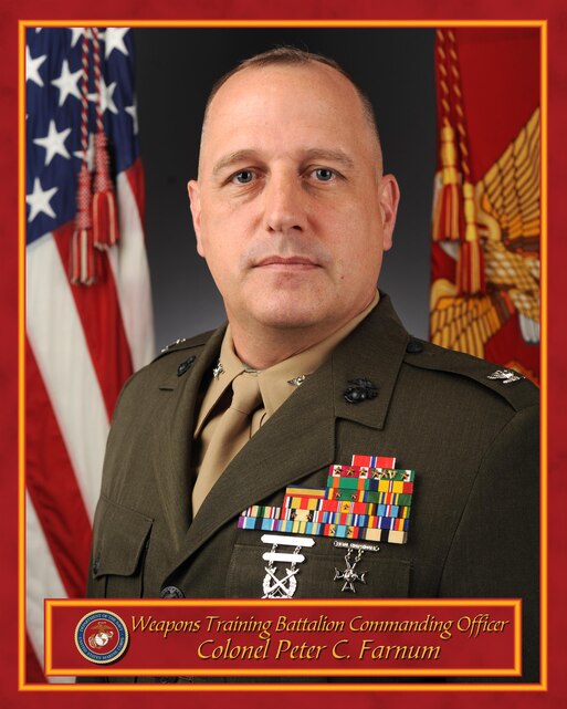 Colonel Peter C. Farnum > Training Command > Biography
