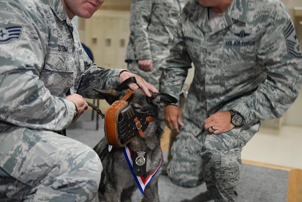 Military working dog Tex is petted by his handler Staff Sgt. Matthew Stewart, a dog handler with the 55th Security Forces Squadron at Offutt Air Force Base, Neb., after being coined by Command Chief Master Sgt. Michael Morris June 28, 2016. Tex was officially retired at the ceremony after more than eight years of service at Offutt. (U.S. Air Force photo/Zach Hada)