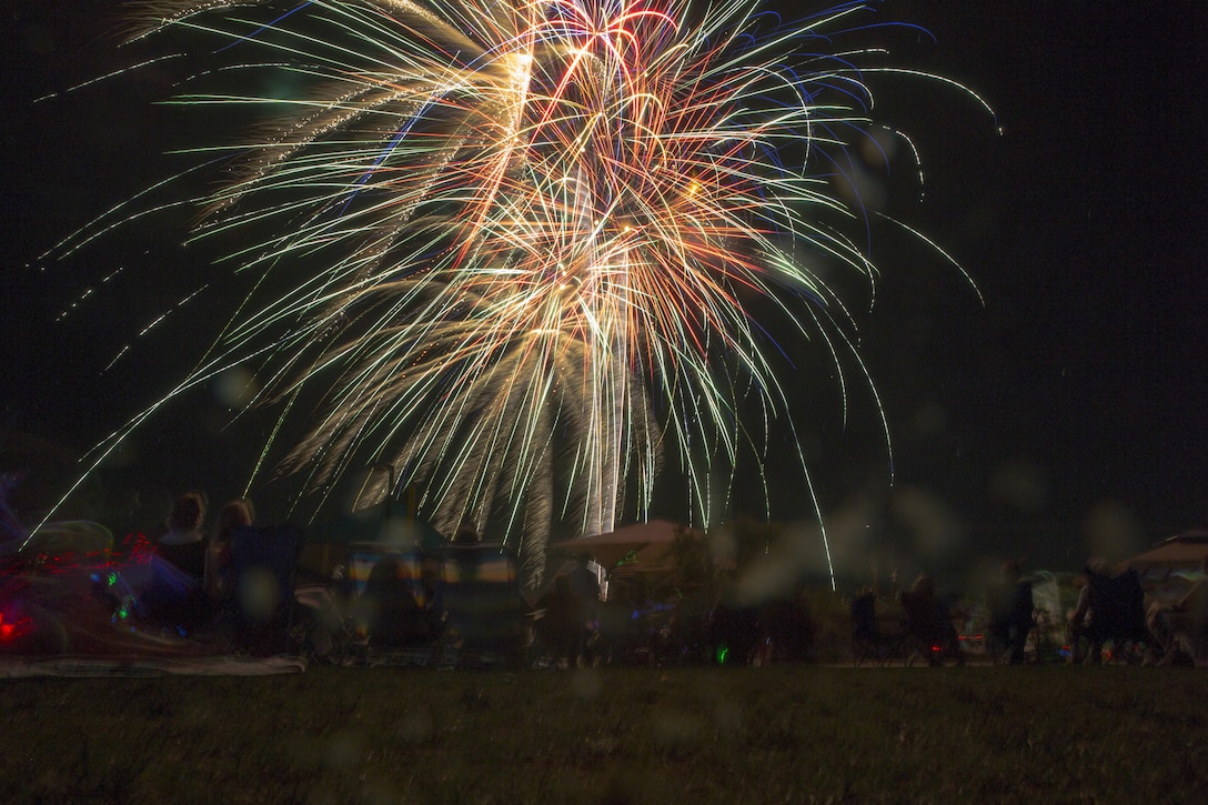 Members of the Morongo Basin community enjoy a fireworks display during the Yucca Valley Independence Day Celebration at Brehm Youth Sports Park, Yucca Valley, Calif., June 4, 2016. (Official Marine Corps photo by Lance Cpl. Levi Schultz/Released)