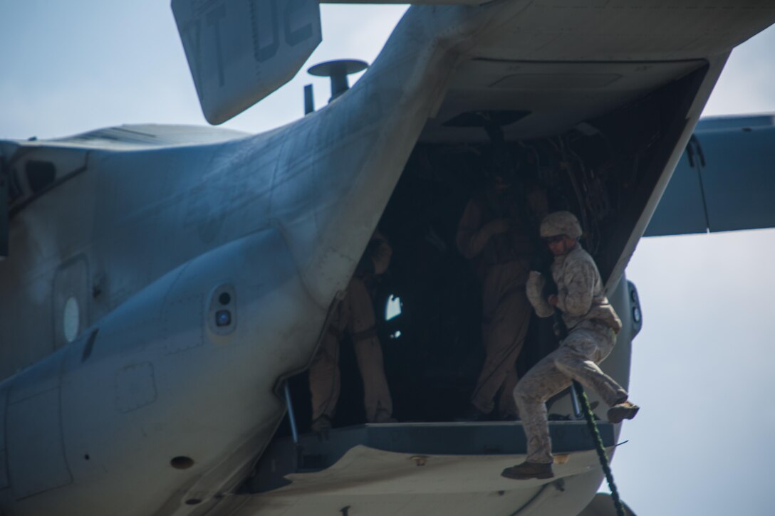 Marines with 2nd Battalion, 5th Marine Regiment, Weapons Company, Scout Sniper Platoon, fast rope from an MV-22B Osprey with Marine Medium Tiltrotor Squadron 164 aboard Marine Corps Base Camp Pendleton, Calif., June 30. The ability to fast rope enables Marines to insert into an area or structure without landing the aircraft, eliminating the need for a landing zone. (U.S. Marine Corps photo by Sgt. Lillian Stephens/Released)