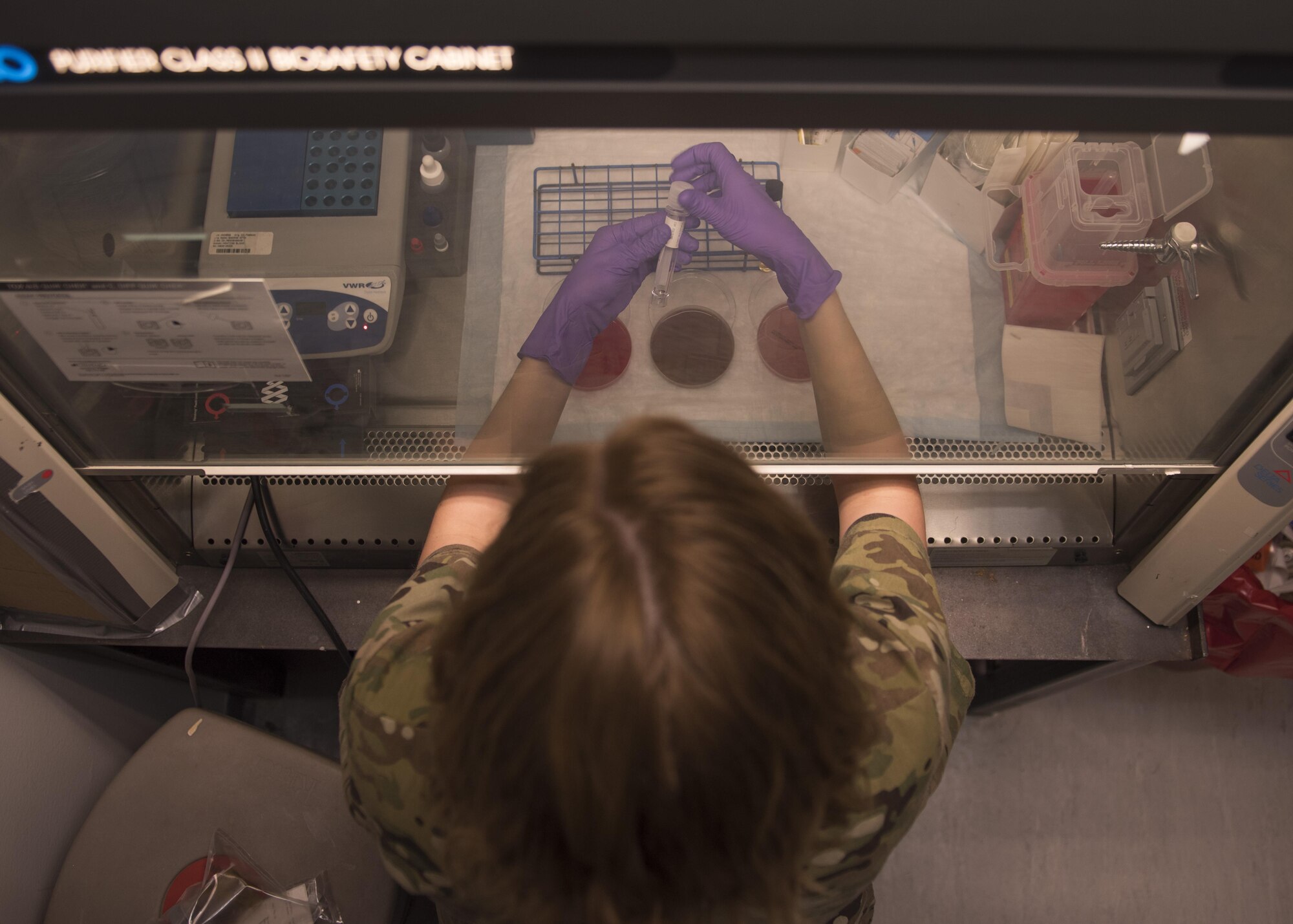 Staff Sgt. Megan Montagnino, 455th Expeditionary Medical Group non-commissioned officer in charge of microbiology and the blood bank, cultures a sample of cerebral spinal fluid, July 08, 2016, Bagram Airfield, Afghanistan. Montagnino cultured the sample to identify any organisms that might be in the patient’s spinal fluid. Once the organism is identified, the doctors at Craig-Joint Theater Hospital are able to prescribe medication to combat the organisms. (U.S. Air Force photo by Senior Airman Justyn M. Freeman)