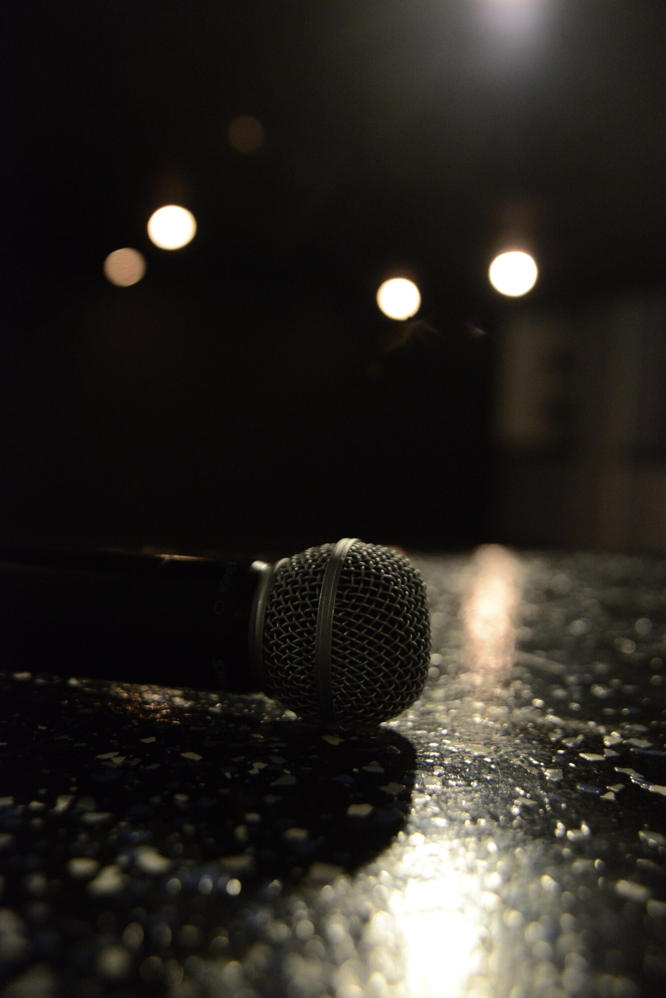 The Arctic Warrior Airmen’s Council hosts the first Spoken Word Night at the Permafrost Pub for poets to speak their mind at Joint Base Elmendorf-Richardson, Alaska, July 8, 2016. The spoken word night was from 7 to 9 p.m. and featured performers speaking poems, raps and improv comedy. (U.S. Air Force photo by Airman 1st Class Christopher R. Morales)
