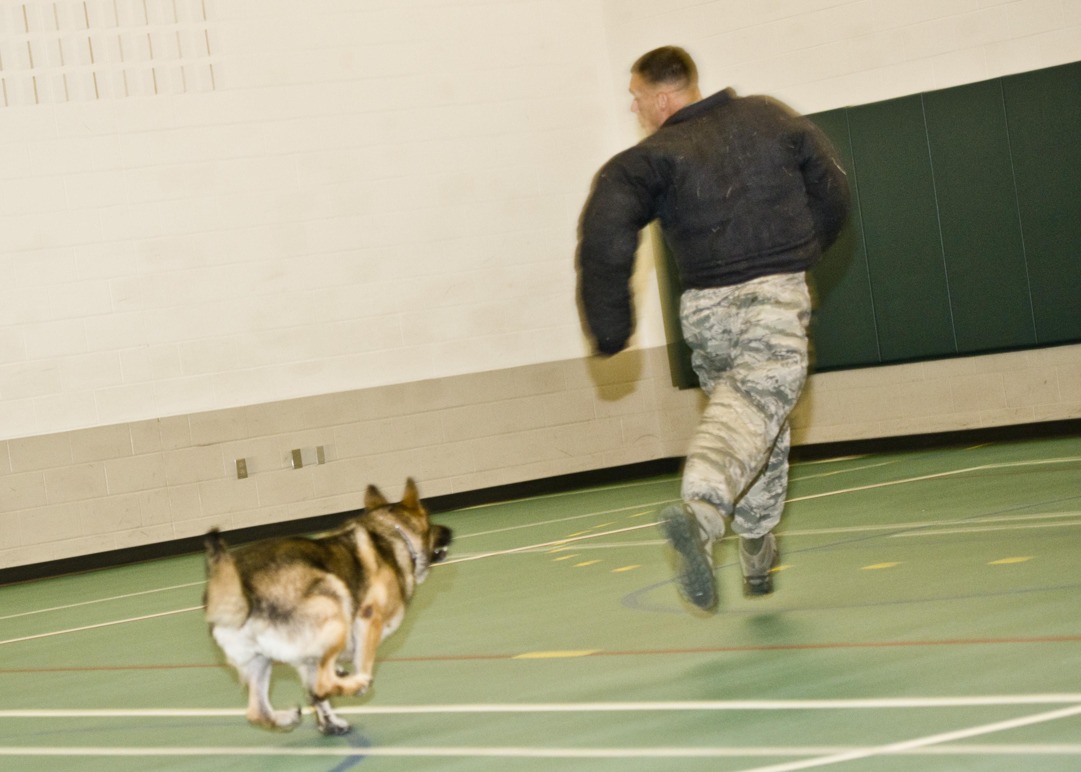 Youth Center K9 Demo > Minot Air Force Base > Article Display