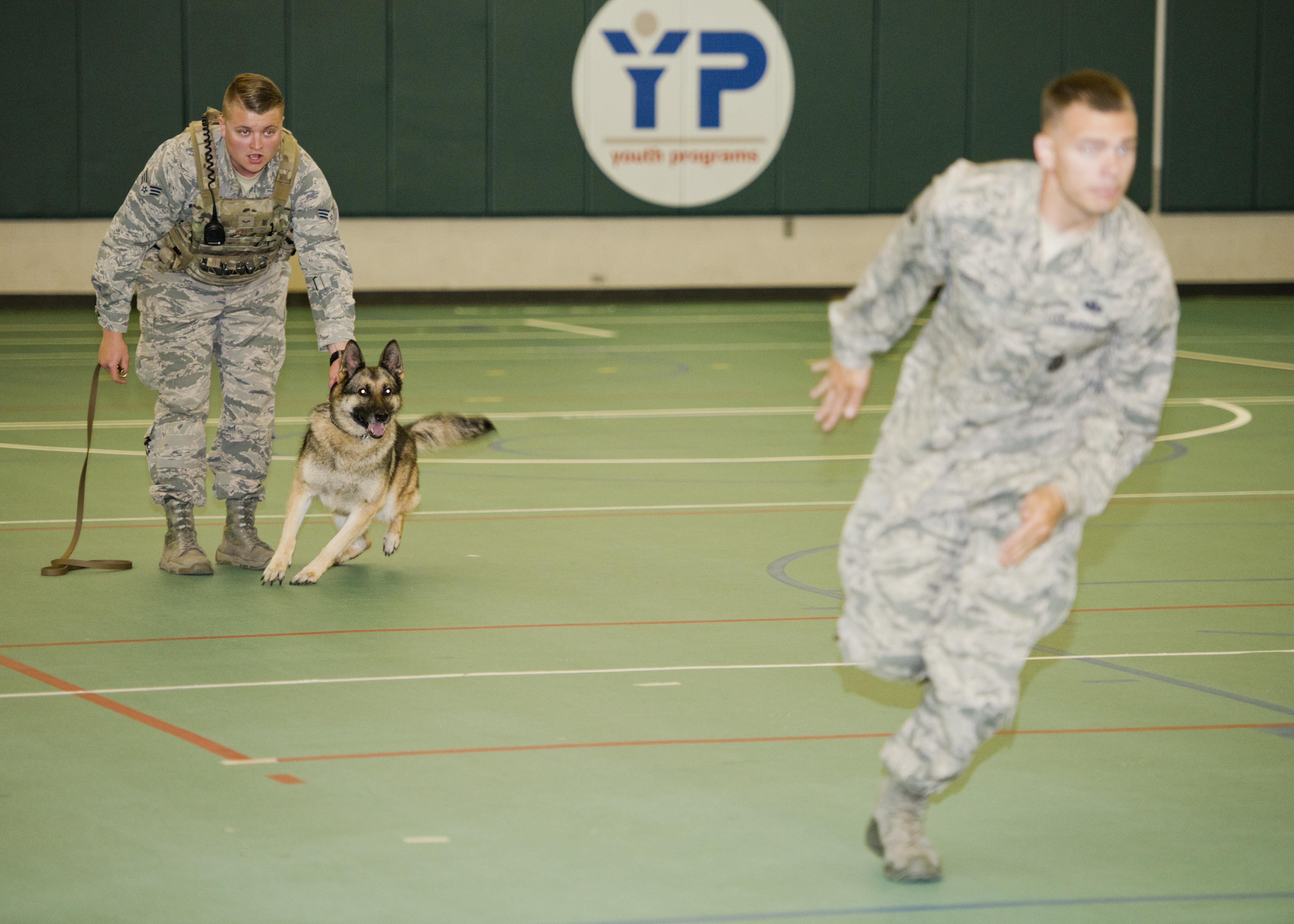 Youth Center K9 Demo > Minot Air Force Base > Article Display