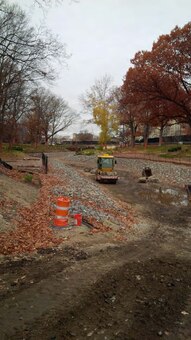 Plantings as part of the bank restoration work in the fall planting season completed – herbivore exclusion fence and habitat boulders installed – early November 2015.