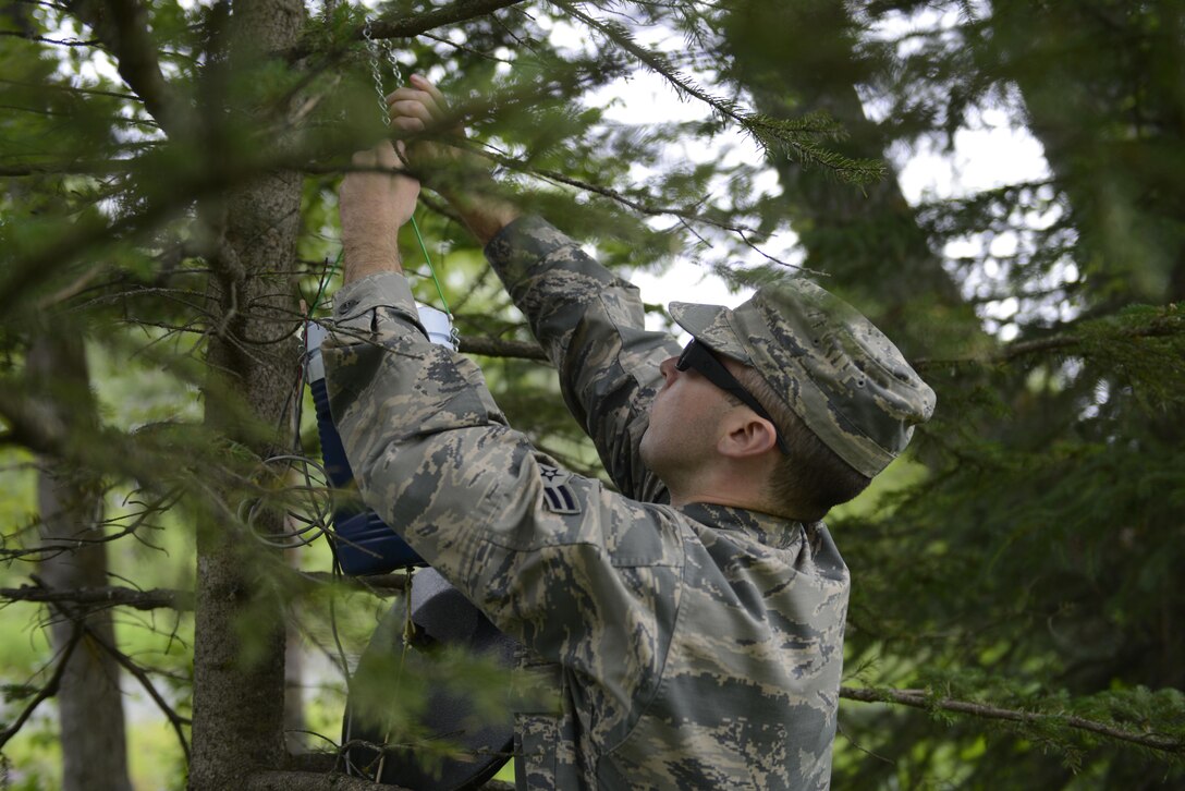 Airman 1st Class Brendan Rapp, 673d Aerospace Medical Squadron public health technician, places a miniature light trap on a tree branch at Joint Base Elmendorf-Richardson, Alaska, July 6, 2016. Only female mosquitoes feed on blood in order to hatch their eggs. (U.S. Air Force photo by Airman 1st Class Valerie Monroy)
