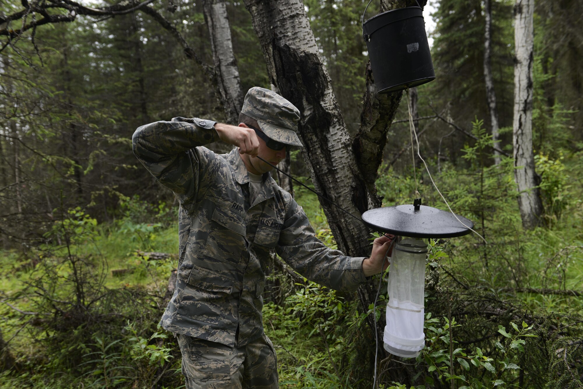 Airman 1st Class Brendan Rapp, 673d Aerospace Medical Squadron public health technician, secures the net on a miniature light trap at Joint Base Elmendorf-Richardson, Alaska, July 6, 2016. According to the World Health Organization, mosquitoes are the greatest menace when it comes to disease-transmitting insects. They are responsible for several million deaths and hundreds of millions of cases every year involving malaria, dengue and yellow fever. (U.S. Air Force photo by Airman 1st Class Valerie Monroy)