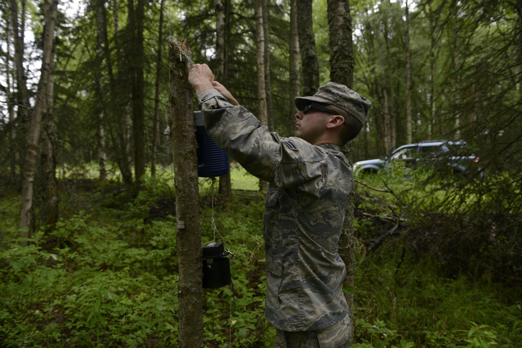 Airman 1st Class Brendan Rapp, 673d Aerospace Medical Squadron public health technician, places a miniature light trap on a tree branch at Joint Base Elmendorf-Richardson, Alaska, July 6, 2016. Only female mosquitoes feed on blood in order to hatch their eggs. (U.S. Air Force photo by Airman 1st Class Valerie Monroy)