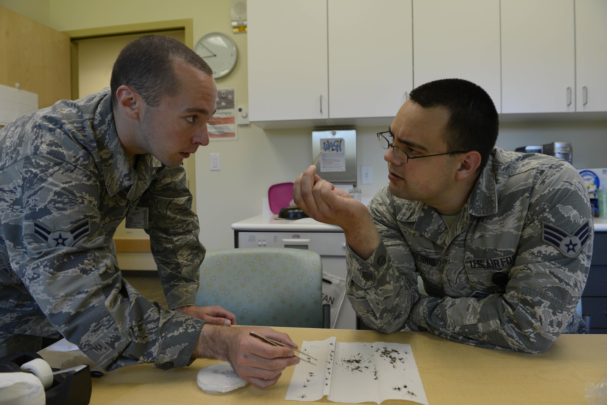 Airman 1st Class Brendan Rapp, left, and Senior Airman Marc Dennis, right, examine a frozen male mosquito at Joint Base Elmendorf-Richardson, Alaska, July 8, 2016. Both Rapp and Dennis are 673d Aerospace Medical Squadron public health technicians. (U.S. Air Force photo by Airman 1st Class Valerie Monroy)