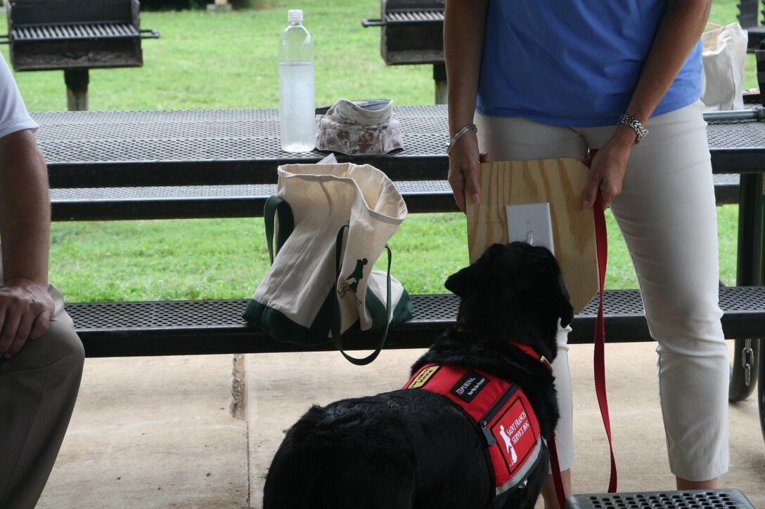 Kaia shows how she is able to turn light switches off and on. Service dogs like Kaia are also able to carry bags, tug open doors and bump them closed, get objects out of the fridge, and go get help for their owners.