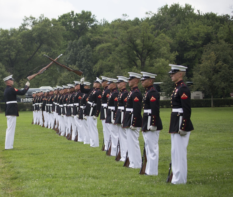 Slient Drill Platoon Performs for Honor Flight Chicago