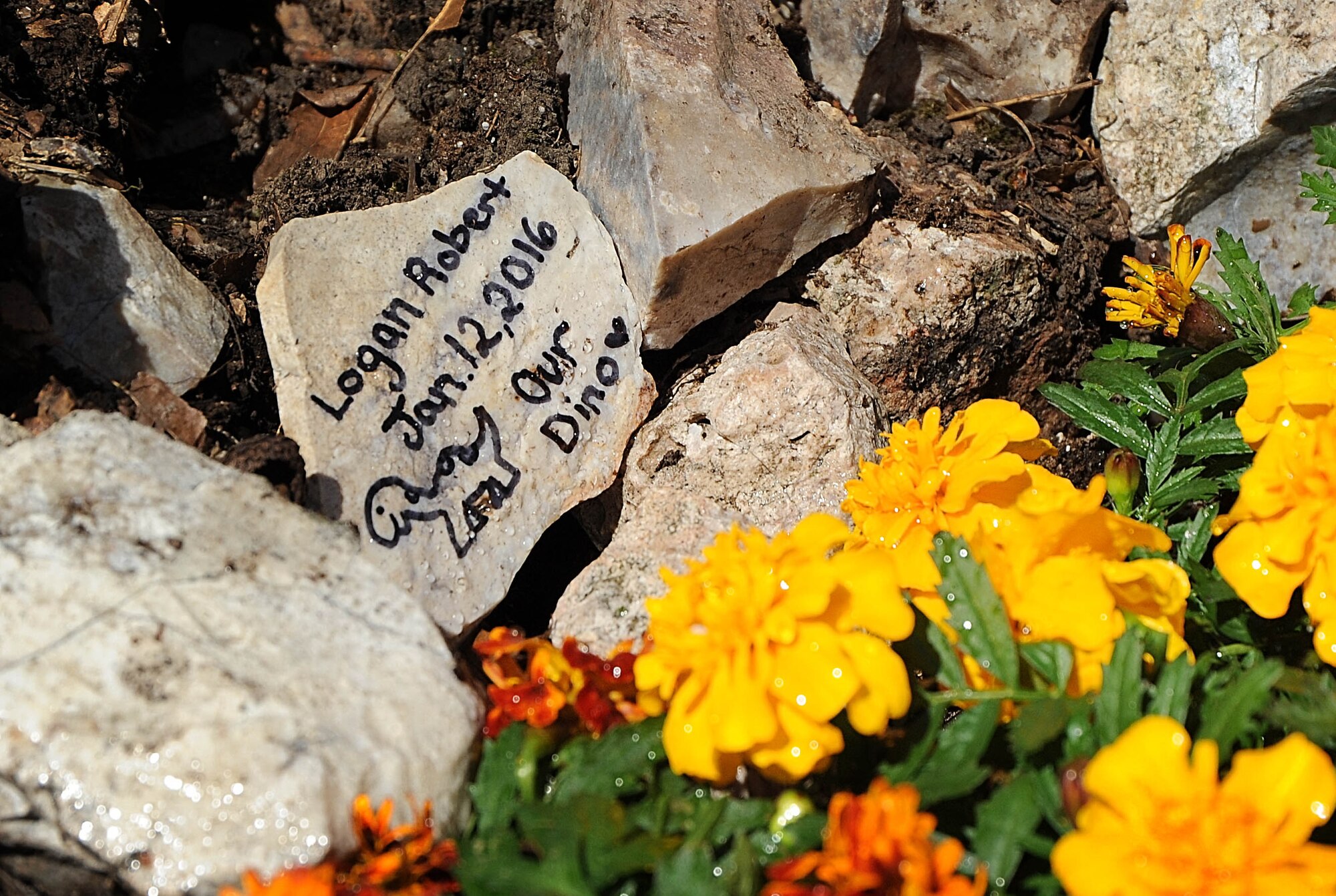 Senior Airman Nicholas Johnson and his wife, Cindy, create a memorial at a science nature preserve in Missouri for the child they lost on Cindy’s birthday--Jan. 12. Nick, who is assigned to the 375th Civil Engineer Squadron, was deployed when Cindy became hospitalized but thanks to herculean efforts from their military family, he made it back in time to be with his wife when Logan Robert was born at five months into her pregnancy.