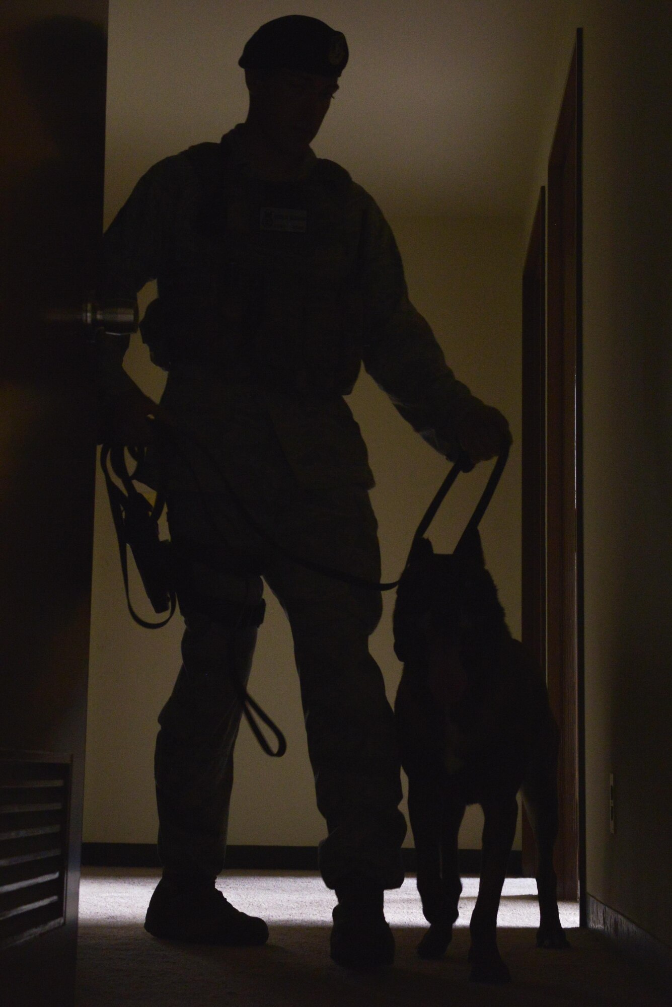 Staff Sgt. Nicholas Galbraith, 374th Security Forces Squadron military working dog handler, and Topa, 374 SFS MWD, search rooms in an apartment building during a training scenario at Yokota Air Base, Japan, July 12, 2016. The MWDs use their sense of smell to help handlers track suspects in addition to identifying hazardous or illegal substances. (U.S. Air Force photo by Senior Airman David Owsianka/Released)