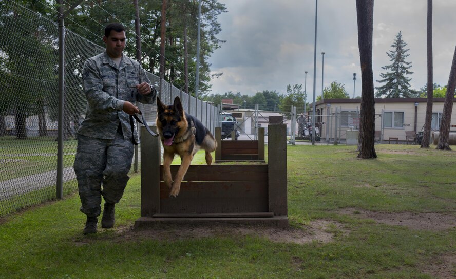 Staff Sgt. Bernardo Cortes, 86th Security Forces Squadron military working dog trainer, leads Rogo, 86th SFS MWD in training, over a barrier July 12, 2016, at Ramstein Air Base, Germany. Rogo is a brand new MWD out of Lackland Air Force Base, Texas, and arrived at Ramstein on June 29. He must undergo a 90-day trial period before he will officially become a Ramstein MWD. (U.S. Air Force photo/Airman 1st Class Tryphena Mayhugh)