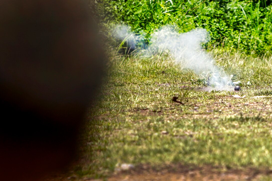 A Marine observes an M69 practice grenade detonate during Exercise Eagle Wrath 2016 at Combined Arms Training Center Camp Fuji, Japan, July 11, 2016. Marine Corps photo by Lance Cpl. Aaron Henson