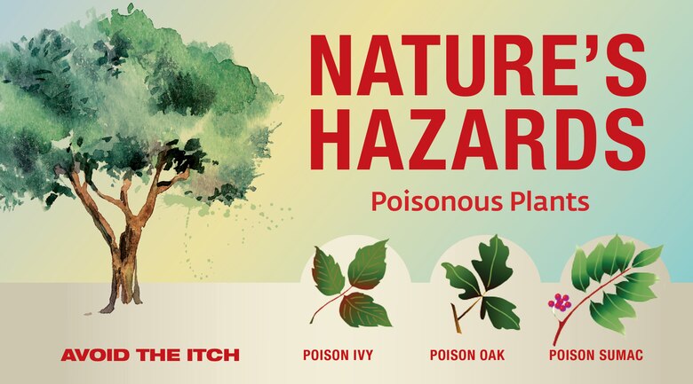 Nature S Hazards Poisonous Plants Eglin Air Force Base