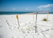 A sea turtle nest incubates on the Santa Rosa Island Range July 14 at Eglin Air Force Base, Fla. The 96th Civil Engineer Group’s Jackson Guard biologists and volunteers track and monitor the endangered species’ activity on the littoral range. The information they gather is used to avoid and protect wildlife during military test and training missions.(U.S. Air Force photo/Ilka Cole) 