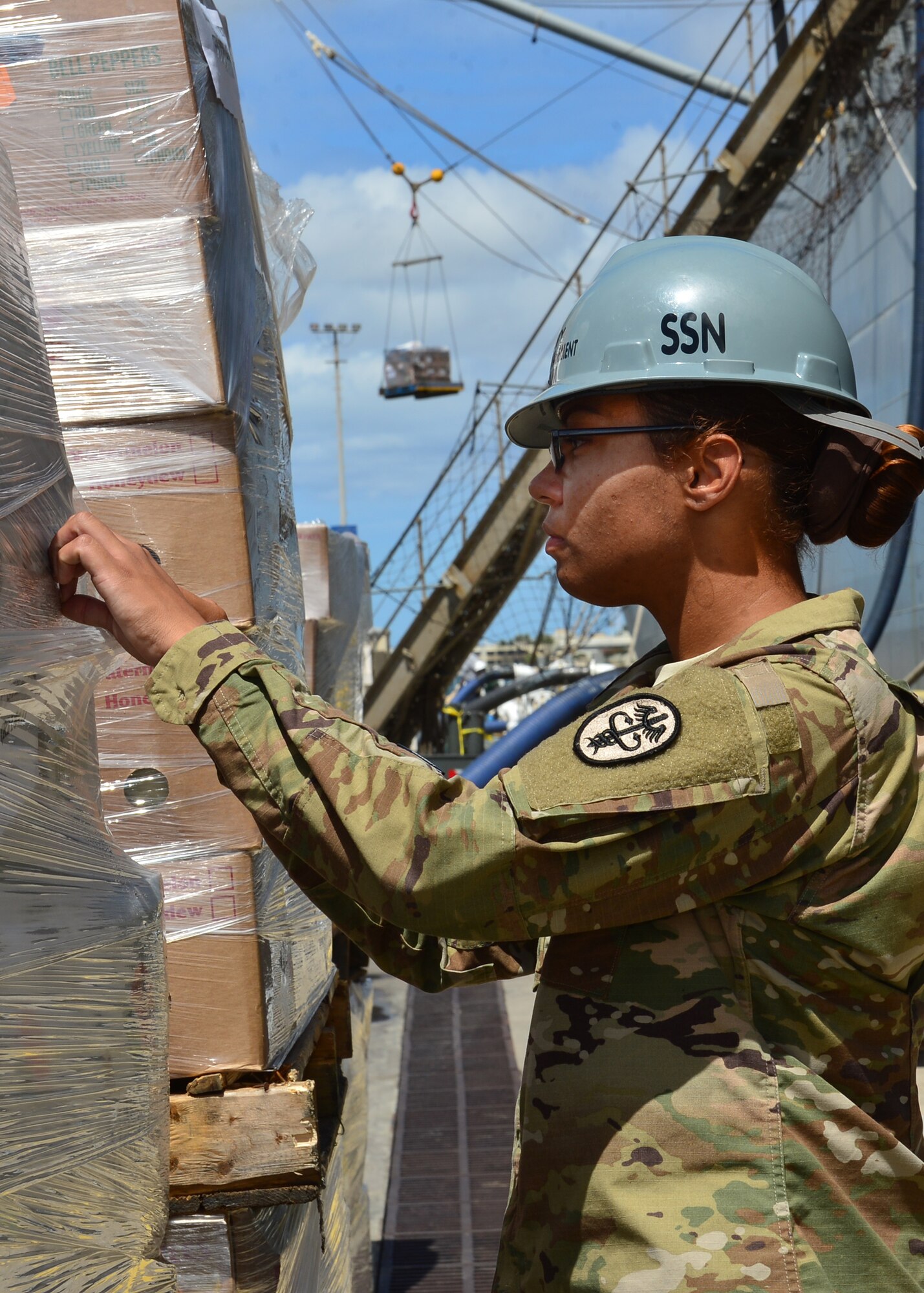 Army Sgt. Lee Jeanpierre, Public Heath Command District Central Pacific Hawaii lead food inspector, inspects a pallet of food prior to delivery to the USS John C. Stennis (CVN-74) on Joint Base Pearl Harbor-Hickam, July 15 2016. Airman from the 15th Aerospace Medicine Squadron are working alongside Soldiers from the Public Heath Command District Central Pacific Hawaii to ensure food is safely delivered to service members aboard 33 military vessels during the 2016 Rim of the Pacific Exercise. Twenty-six nations, more than 40 ships and submarines, 200 aircraft, and 25,000 personnel are participating in RIMPAC from June 30 to Aug. 4, in and around the Hawaiian Islands and Southern California. The world's largest international maritime exercise, RIMPAC provides a unique training opportunity that helps participants foster and sustain the cooperative relationships that are critical to ensuring the safety of sea lanes and security on the world's oceans. (U.S. Air Force photo by Tech. Sgt. Aaron Oelrich/Released)   