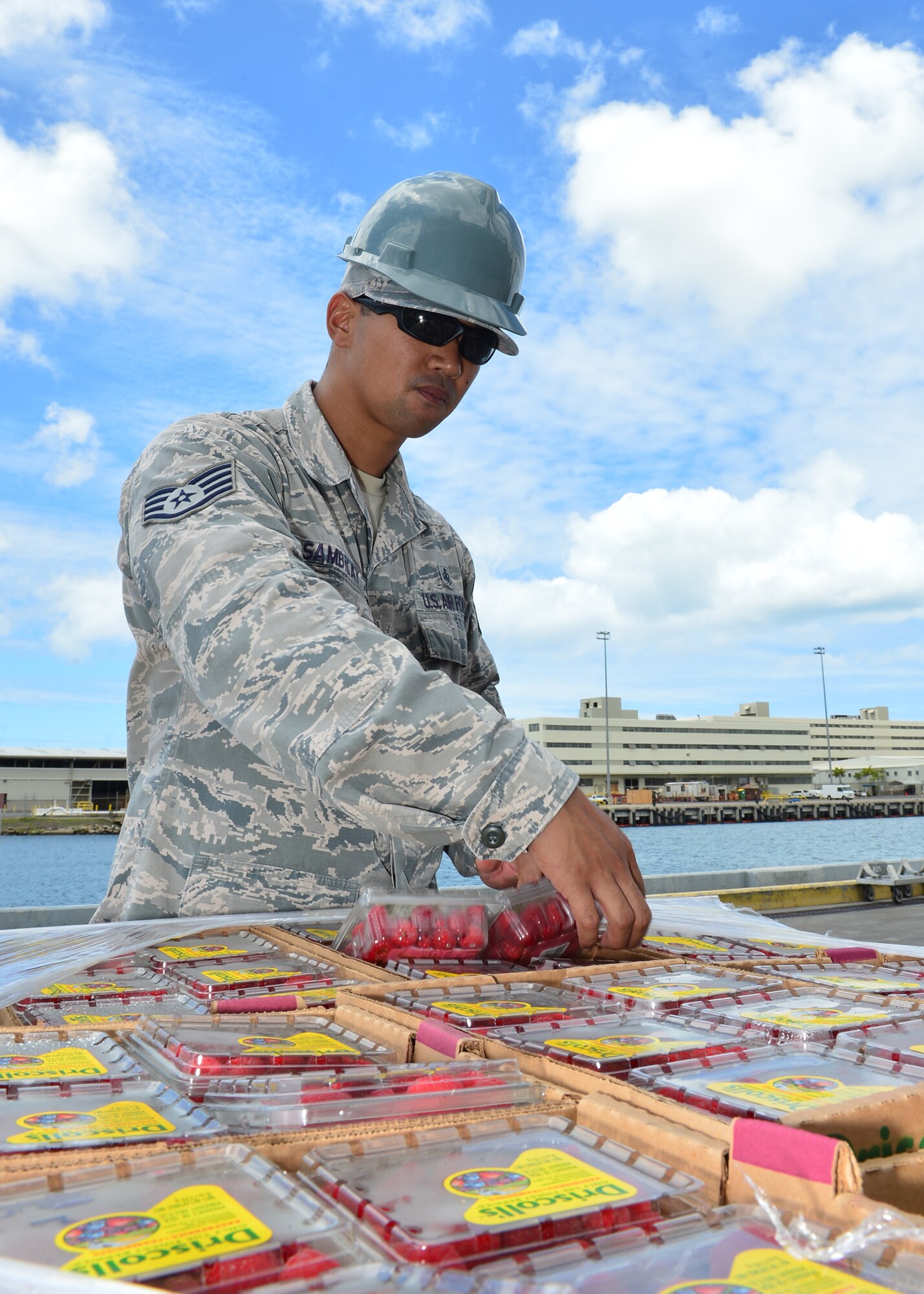 Staff Sgt. Renato Sambilay, 15th Aerospace Medicine Squadron bioenvironmental technician, inspects a pallet of food prior to delivery to the USS John C. Stennis (CVN-74) on Joint Base Pearl Harbor-Hickam, July 15 2016. Airmen from the 15th Aerospace Medicine Squadron are working alongside Soldiers from the Public Heath Command District Central Pacific Hawaii to ensure food is safely delivered to service members aboard 33 military vessels during the 2016 Rim of the Pacific Exercise. Twenty-six nations, more than 40 ships and submarines, 200 aircraft, and 25,000 personnel are participating in RIMPAC from June 30 to Aug. 4, in and around the Hawaiian Islands and Southern California. The world's largest international maritime exercise, RIMPAC provides a unique training opportunity that helps participants foster and sustain the cooperative relationships that are critical to ensuring the safety of sea lanes and security on the world's oceans. (U.S. Air Force photo by Tech. Sgt. Aaron Oelrich/Released)      