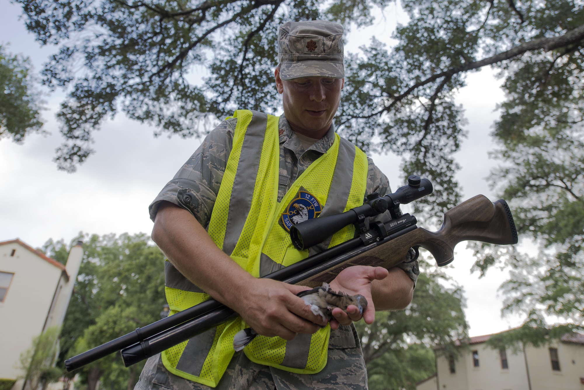 Maj. Jason Powell, 12th Flying Training Wing chief of flight safety, gathers a white-winged dove after striking it with the air pellet rifle July 13, 2016 at Joint Base San Antonio-Randolph. The Bird/Wildlife Aircraft Strike Hazard Program reduces the threat that the nearly 400 different species of birds pose each year as they travel along the Central Americas Flyway.