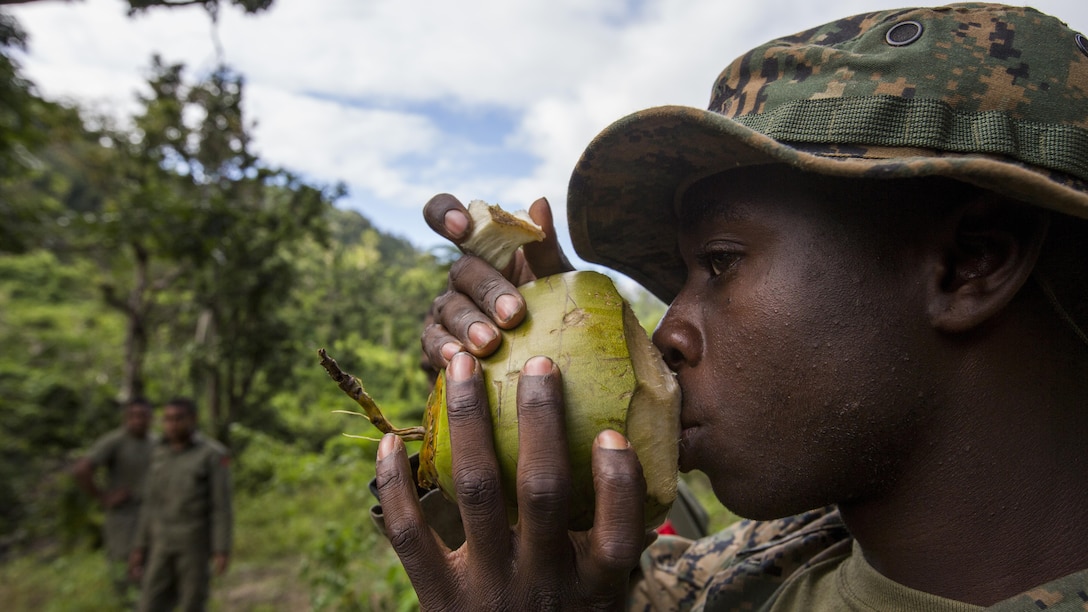 U.S. Marine Lance Cpl. Terrance L. Lee with Task Force Koa Moana 16.2 drinks cocoanut water for hydration during jungle survival training on Ovalua, Fiji, July 15, 2016. Marines applied survival techniques they have learned throughout their training with the RFMF. Fiji is part of Task Force Koa Moana’s deployment throughout the Asia-Pacific region, where Marines and Sailors will share engineering and infantry skills with the RFMF to strengthen mil-to-mil relationships and interoperability.