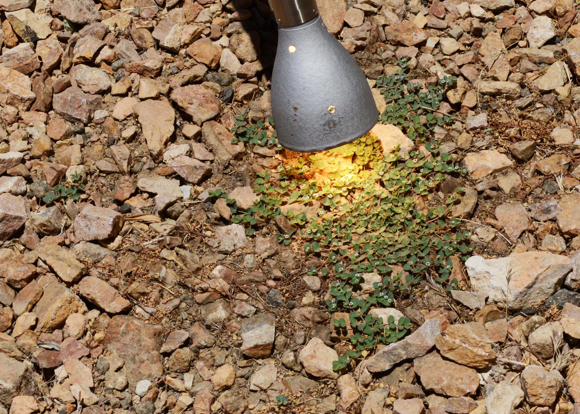 Dr. Danny Reinke, 412th Civil Engineering Group, uses the NatureZap to kill weeds. (U.S. Air Force photo by Kenji Thuloweit)