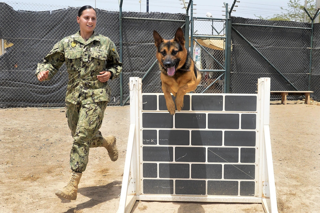 Navy Petty Officer 2nd Class Amber Boyd runs an obstacle with Omar, a military working dog, at Camp Lemonnier, Djibouti, July 19, 2016. Boyd is a master at arms. Navy photo by Petty Officer 2nd Class Timothy M. Ahearn