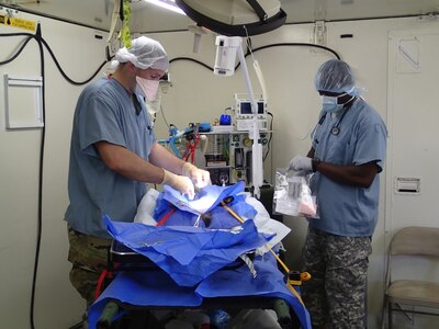 Capt. Matthew Watson, a veterinarian, and Spc. Omokorede Fatile, a food inspector, both from the 422nd Medical Detachment Veterinary Services out of Rockville, Md.,  perform a neuter procedure on a cat during Greater Chenango Cares, July 20, 2016.  Greater Chenango Cares is one of the Innovative Readiness Training events which provides real-world training in a joint civil-military environment while delivering world class medical care to the people of Chenango County, N.Y., from July 15-24.