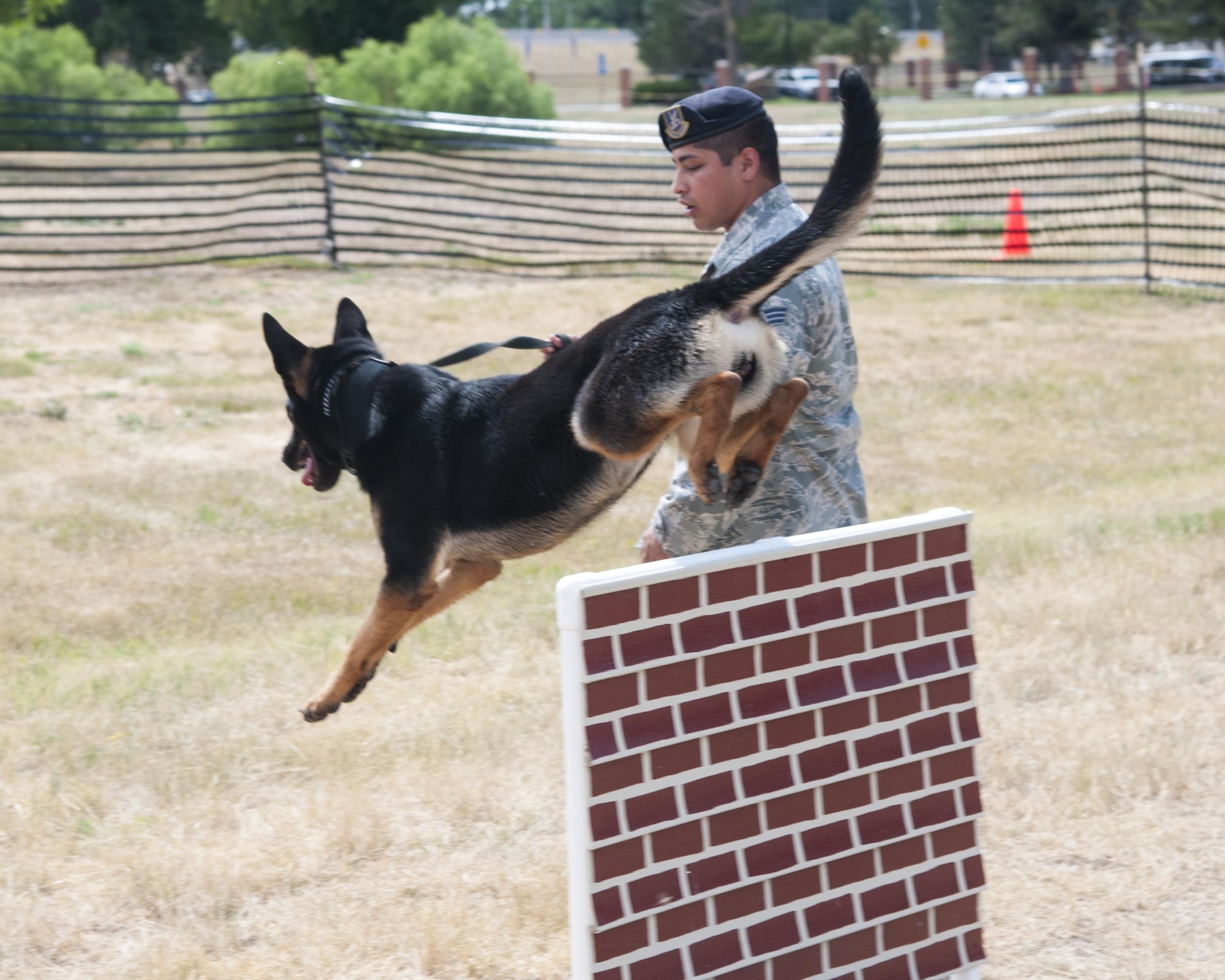 Senior Airman Desi Padilla, 90th Security Forces Squadron military working dog handler, guides MWD Eby, over an obstacle in a demonstration July 22, 2016, during Fort D.A. Russell Days, the annual F.E. Warren Air Force Base, Wyo., open house. The open house gives visitors a glimpse into the mission of the 90th Missile Wing. (U.S. Air Force photo by Senior Airman Jason Wiese)