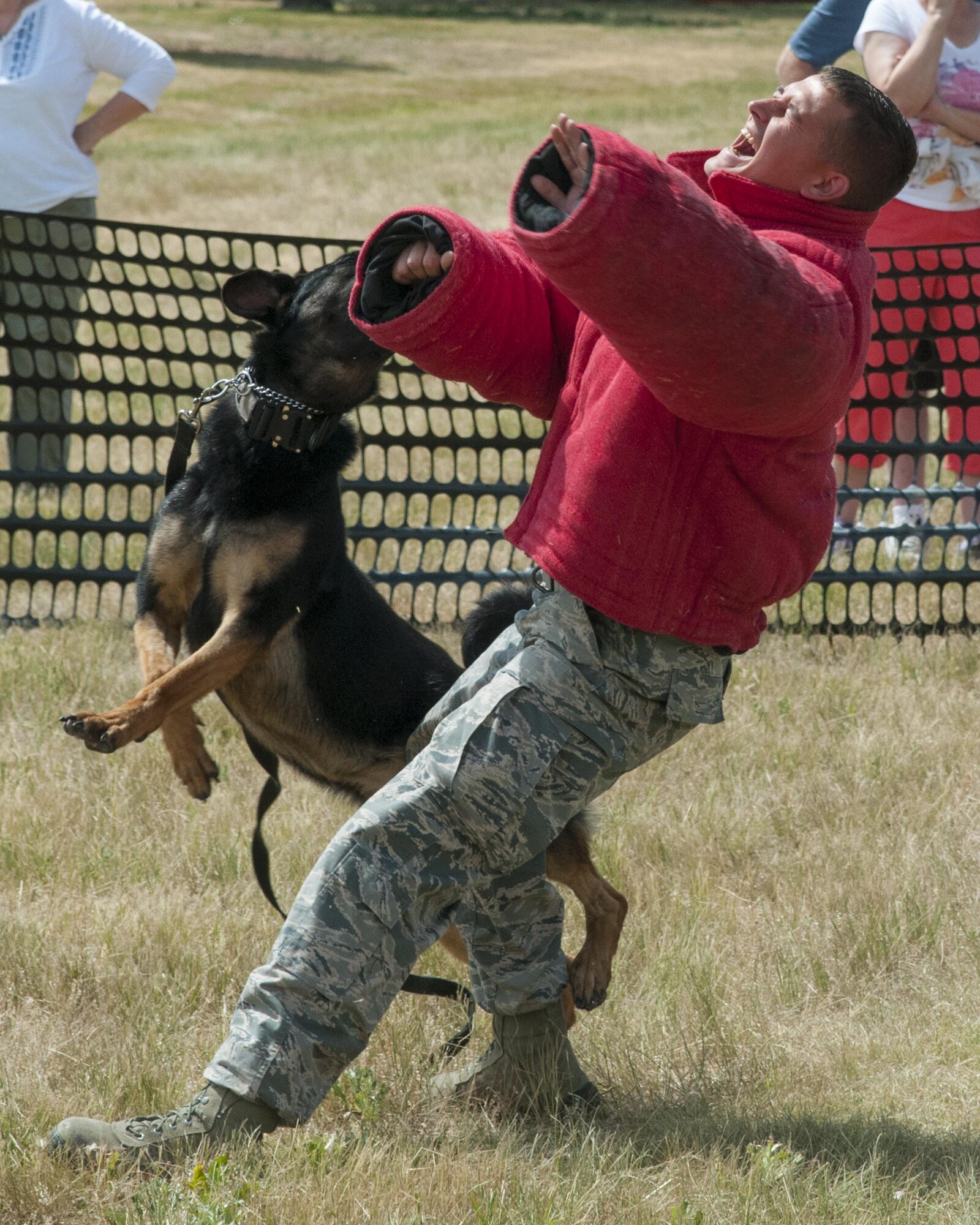Staff Sgt. Bryan Gill, 90th Security Forces Squadron military working dog trainer, is attacked by MWD Eby, demonstrating the dog's capabilities July 22, 2016, during Fort D.A. Russell Days, the annual F.E. Warren Air Force Base, Wyo., open house. MWDs play an important role in securing the base. (U.S. Air Force photo by Senior Airman Jason Wiese)