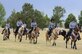 Members of the Trotters turn a corner in a column as they demonstrate their horse-riding skills July 22, 2016, during Fort D.A. Russell Days, the annual F.E. Warren Air Force Base, Wyo., open house. The Trotters perform at the open house each year. (U.S. Air Force photo by Senior Airman Jason Wiese)