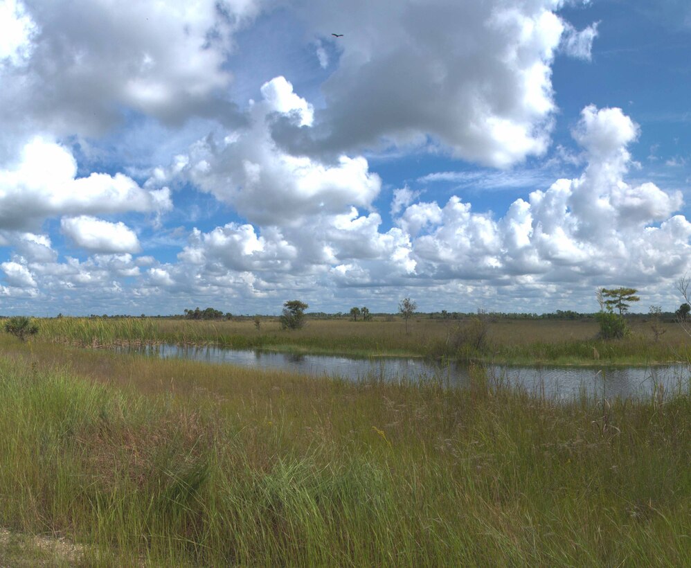 Learn more about the Everglades Restoration Transition Plan (ERTP) and the new Biological Opinion that U.S. Fish and Wildlife Service has issued on it.