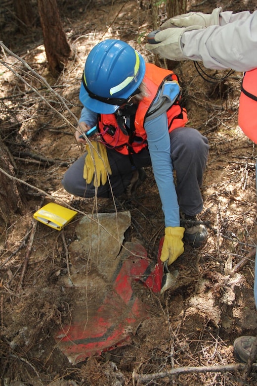 A member with the United States Forest Service examines a piece of wreckage from the 1955 F-86 Sabre crash in the Colville National Forest. (Courtesy Photo)