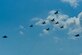 A flight formation of Romanian Air Force MiG-21 LanceR and U.S. Air Force F-15C Eagles fly during the Royal Air Force’s 71st Air Base's air show and open house at Campia Turzii, Romania, July 23, 2016. The aviation demonstration took place during the middle of the U.S. Air Force's 194th Expeditionary Fighter Squadron's six-monthslong theater security package deployment to Europe in support of Operation Atlantic Resolve. (U.S. Air Force photo/Staff Sgt. Joe W. McFadden)