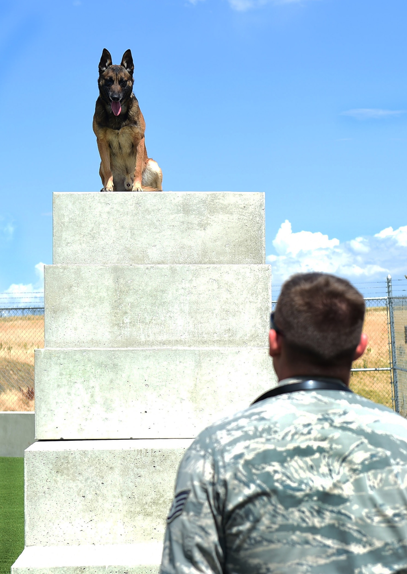 Military Working Dog Chico looks down at his handler Staff Sgt. Tyler Shears, 460th Space Wing Security Forces Squadron Security Forces MWD handler, July 19, 2016, on Buckley Air Force Base, Colo. The MWD trainers work together with their canine companions on a daily basis and must maintain the health and well-being of the dogs. (U.S. Air Force photo by Airman 1st Class Gabrielle Spradling/Released)