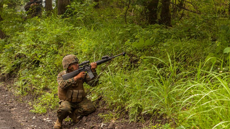U.S. Marines with Fuels platoon and Headquarters and Service Company, Marine Wing Support Squadron 171 stationed at Marine Corps Air Station Iwakuni, Japan, fire their M16A4 service rifles at simulated enemies while conducting company-level training during exercise Eagle Wrath 2016 at Combined Arms Training Center Camp Fuji, July 21, 2016. During this training, the company commanders have the opportunity to train their personnel and prepare for the final culminating event where Marines will construct and defend a landing zone and refueling point. 