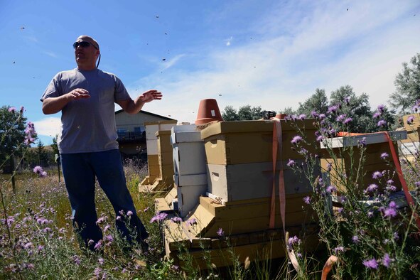 Retired Maj. Brian Rogers, a master beekeeper with the Great Falls Wanna-Beekeeping Club, shows the new home of 25,000 relocated honey bees July 26, 2016, at Great Falls, Mont. The bees were saved by the combined efforts of three enlisted Airmen, a biologist employed by the 341st Civil Engineer Squadron and a local master beekeeper. (U.S. Air Force photo/Airman 1st Class Magen M. Reeves)