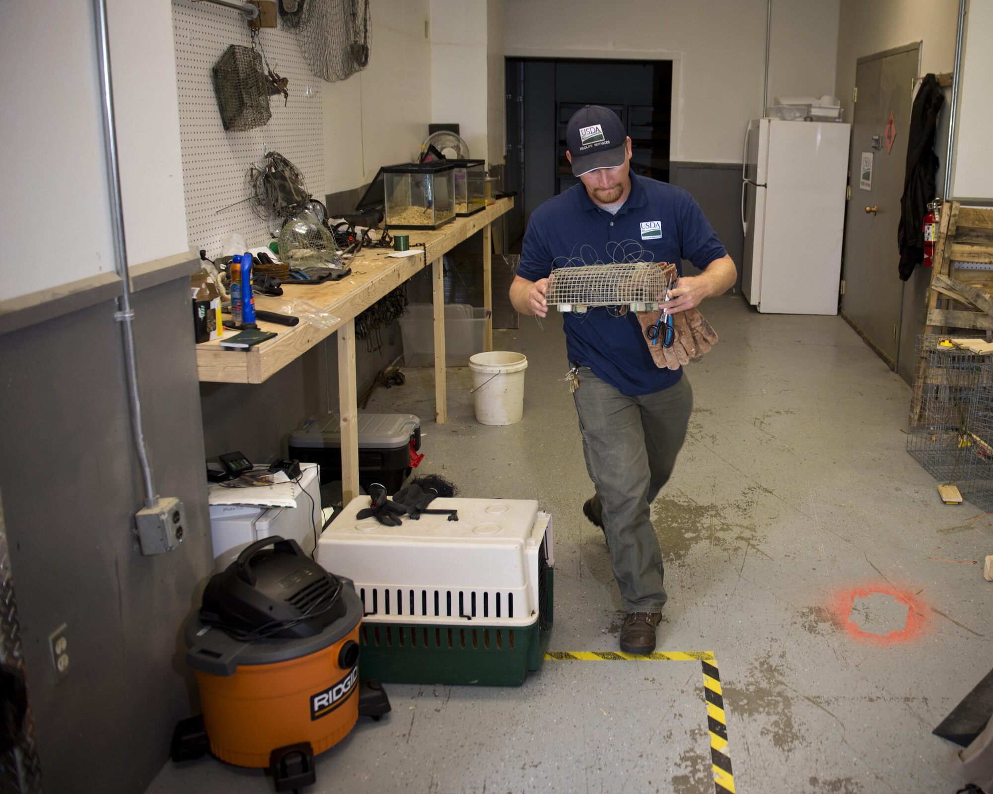 Dale Waites, U.S. Department of Agriculture wildlife biologist, carries a live trap at Minot Air Force Base, N.D., July 15, 2016. Waites relocates birds away from the airfield, as part of the Bird Airstrike Hazard program (BASH), to mitigate damage to aircraft engines. (U.S. Air Force photo/Airman 1st Class J.T. Armstrong)