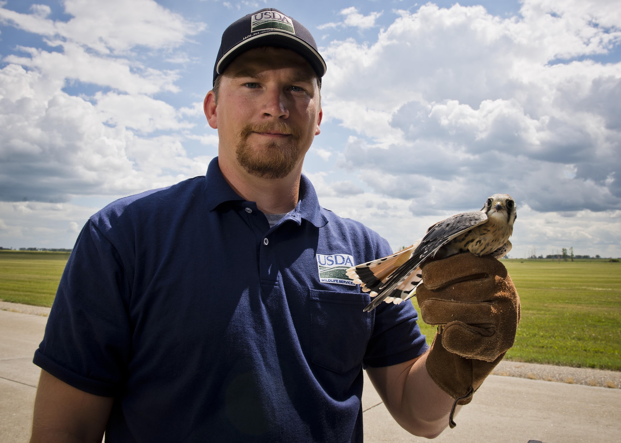 Dale Waites, U.S. Department of Agriculture wildlife biologist, poses with an American kestrel on the airfield at Minot Air Force Base, N.D., July 15, 2016. The American kestrel is the most common falcon in North America and can cause damage to the engines of incoming and outgoing B-52H Stratofortresses. (U.S. Air Force photo/Airman 1st Class J.T. Armstrong)