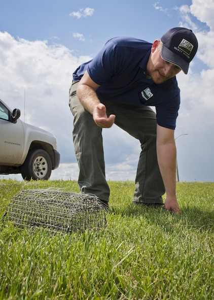 Dale Waites, U.S. Department of Agriculture wildlife biologist, explains how he sets a live trap on the airfield at Minot Air Force Base, N.D., July 15, 2016. Waites, a part of the Bird Airstrike Hazard program (BASH), set multiple traps for American kestrels, the most common falcon in North American. (U.S. Air Force photo/Airman 1st Class J.T. Armstrong)