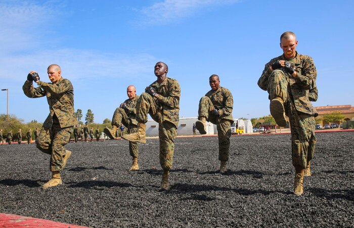 Recruits from Mike Company, 3rd Recruit Training Battalion, conduct leg stomps during a Marine Corps Martial Arts Program test at Marine Corps Recruit Depot San Diego, July 20. The recruits test to earn a tan belt, which is the first level in the program, and they will continue to train and level up to earn the gray, green, brown and black belts later in their careers. Annually, more than 17,000 males recruited from the Western Recruiting Region are trained at MCRD San Diego. Mike Company is scheduled to graduate Aug. 12.