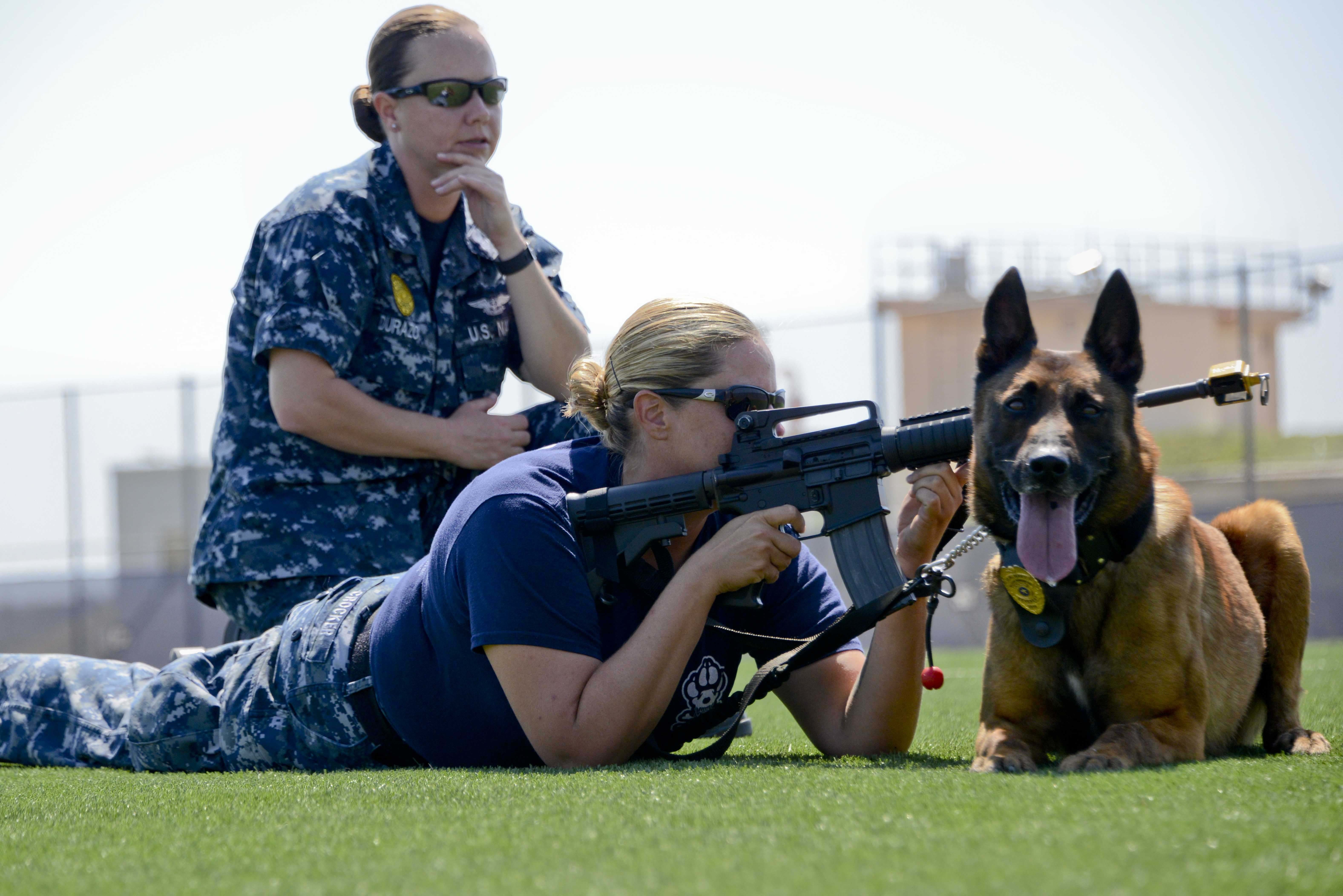 mwd military