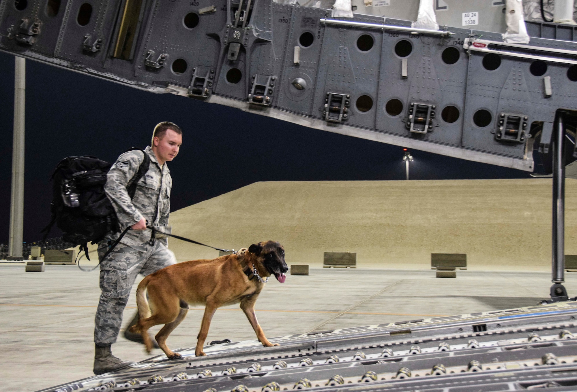 Military working dog Vvass looks at the camera as he leads his handler Staff Sgt. Christopher Hotine, 380th Expeditionary Security Forces Squadron, on board a C-17 Globemaster III Germany July 18, 2016, at Al Udeid Air Base, Qatar. VVass and Hotine were travelling through AUAB for treatment at a U.S. Army veterinary facility. (U.S. Air Force photo/Technical Sgt. Carlos J. Treviño)
