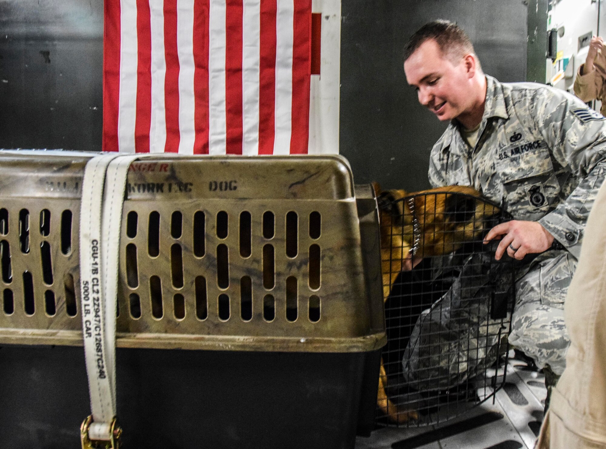Staff Sgt. Christopher Hotine, 380th Expeditionary Security Forces Squadron military working dog handler, talks to his military working dog VVass to reassure him as he enters his kennel prior to their medical evacuation July 18, 2016, at Al Udeid Air Base, Qatar, via a C-17 Globemaster III to receive advanced veterinary care in Germany. The 379th Expeditionary Medical Group Enroute Patient Staging Facility hosted MWD VVass, Hotine, and several other patients before their flight. (U.S. Air Force photo/Technical Sgt. Carlos J. Treviño)