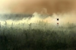 The Michigan Army National Guard helps put out a fire about six miles north of Newberry in Luce County and about 10 miles from Tahquamenon Falls State Park in the Upper Pennisula of Michigan. 